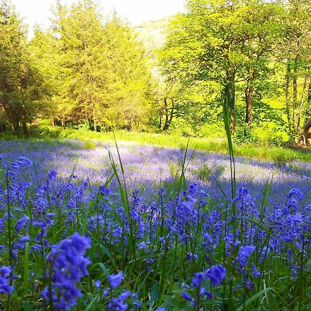Lobhill Farmhouse Bed And Breakfast And Self Catering Accommodation Okehampton Exteriör bild
