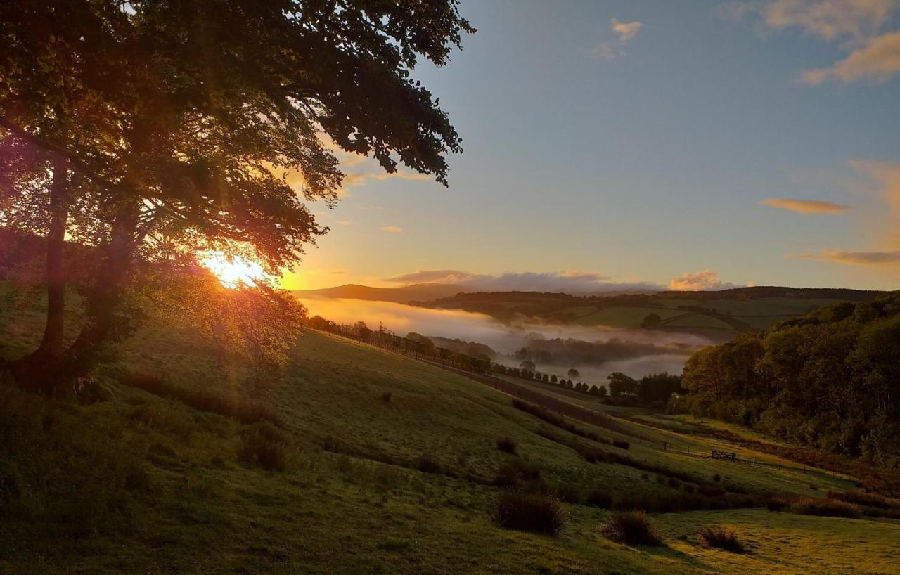 Lobhill Farmhouse Bed And Breakfast And Self Catering Accommodation Okehampton Exteriör bild