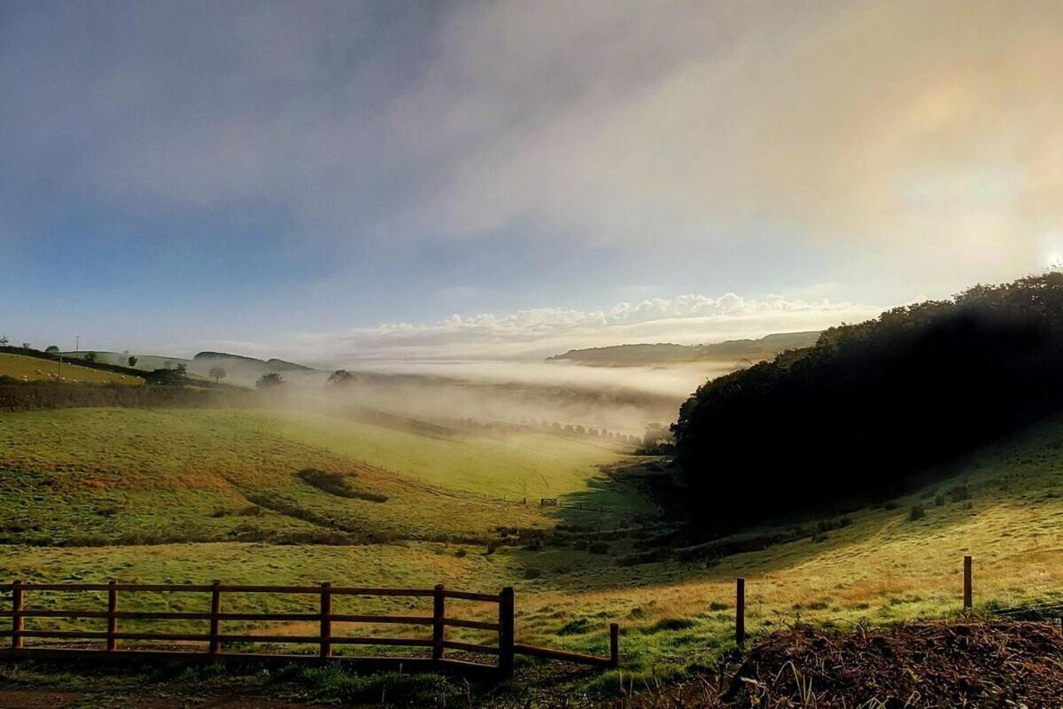 Lobhill Farmhouse Bed And Breakfast And Self Catering Accommodation Okehampton Rum bild