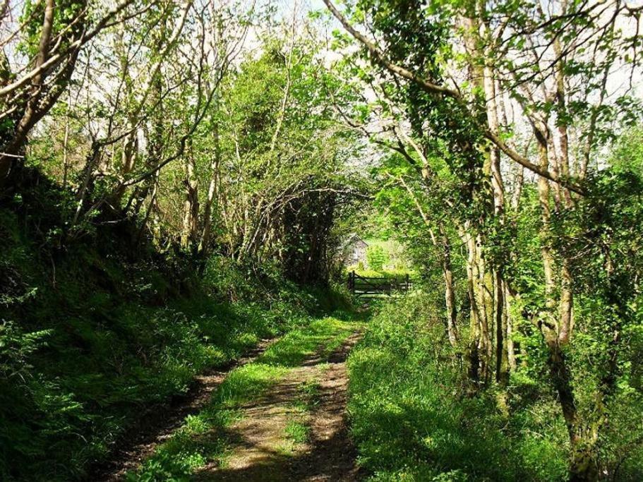 Lobhill Farmhouse Bed And Breakfast And Self Catering Accommodation Okehampton Rum bild
